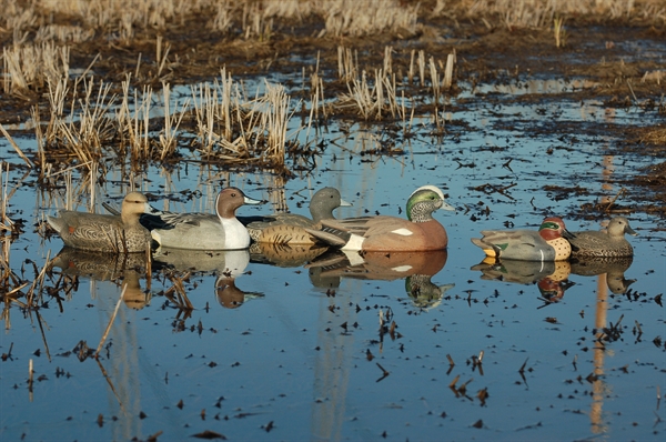 AVERY GHG GREENHEAD GEAR LIFE SIZE PUDDLER PACK II DUCK DECOYS 