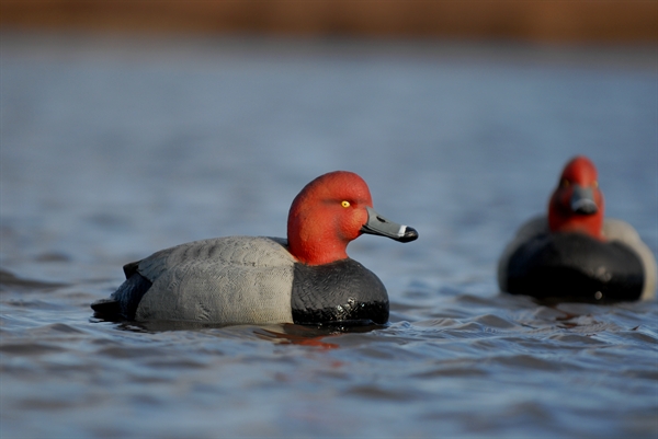 Details about   Avery Greenhead Gear FOAM FILLED Six Over-Size Redhead Decoys GHG 