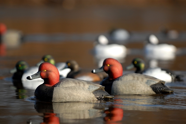 Details about   Avery Greenhead Gear FOAM FILLED Six Over-Size Redhead Decoys GHG 