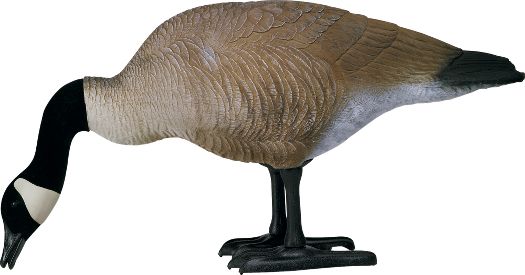 used bigfoot canada goose decoys for sale