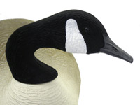 Prairiewind Decoys. **FREE SHIPPING** Single Bigfoot Canada Goose Decoy