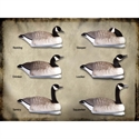 Picture for category Floating Goose 