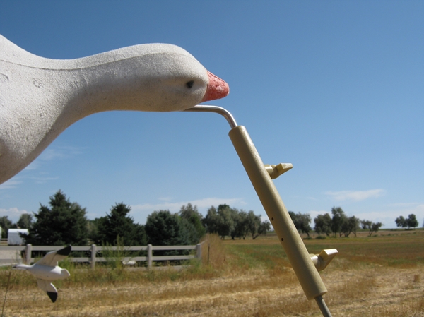 prairiewind decoys feather flyer coupler feather flyers decoys for sale
