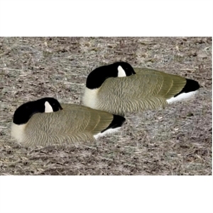 sleeper goose decoys