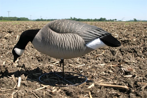 Prairiewind Decoys. X-Treme Painted Lesser Canada Goose Decoys