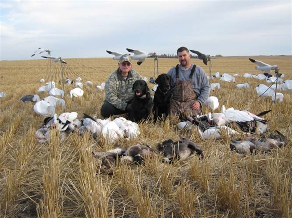 prairiewind decoys sale econo feather flyer snow goose all feather flyer