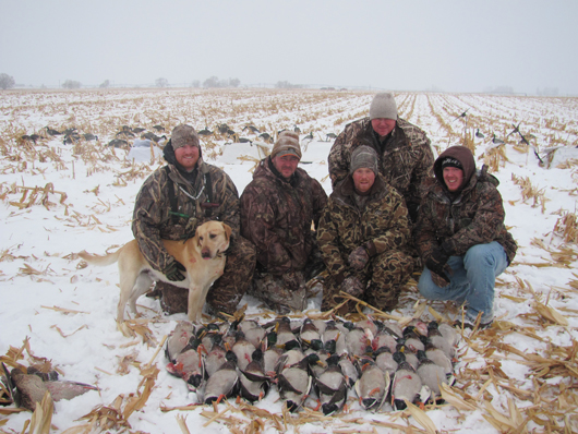 prairiewind decoys sale econo feather flyer snow goose all feather flyer