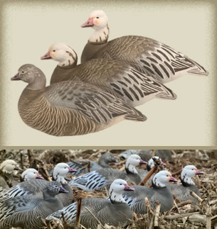 Prairiewind Decoys. BLUE GOOSE SHELLS 12 PACK by Final Approach