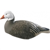 Picture of **SPRING SALE** Pro-Grade BLUE Shells  ACTIVE 12 Pack (AV71069) by Greenhead Gear GHG Avery Outdoors