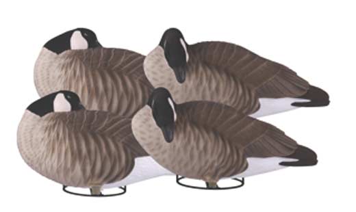 Prairiewind Decoys. **SALE** Tim Newbold FFD Lesser Canada Goose Decoys