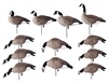 Picture of **FREE SHIPPING** Tim Newbold PAINTED Lesser Canada Goose Decoys - HARVESTER 12 Pack AV72323 by Greenhead Gear GHG Avery Outdoors