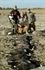Picture of Greater Canada Goose Silhouette Decoys by Big Al's Decoys