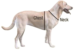 Neoprene Dog Vest Size Chart