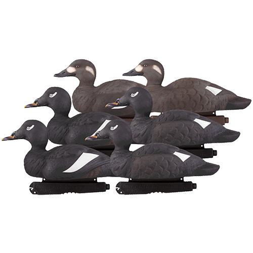 Prairiewind Decoys. Commercial Grade Surf Scoters(74023) by Greenhead