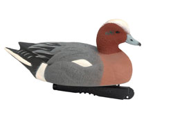 AVERY GREENHEAD GEAR GHG LIFESIZE EURASIAN WIGEON DUCK DECOYS WEIGHTED KEELS NEW 
