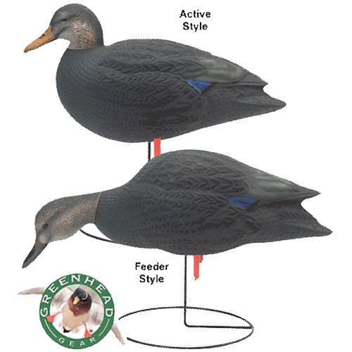 Prairiewind Decoys. Black Duck FEEDER Fullbody Duck Decoys (AV70805) by