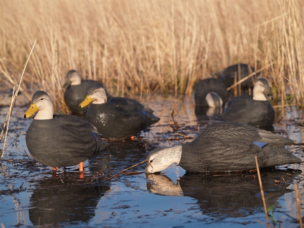 Prairiewind Decoys Black Duck Active Fullbody Duck Decoys