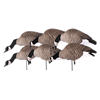 Picture of **FREE SHIPPING** Tim Newbold FFD Lesser Canada Goose Decoys - Feeders AV72301 by Greenhead Gear GHG Avery Outdoors