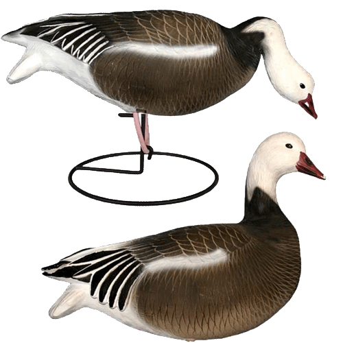 Prairiewind Decoys. **SALE** Premium Blue Goose FB Decoys (DAK12350) by