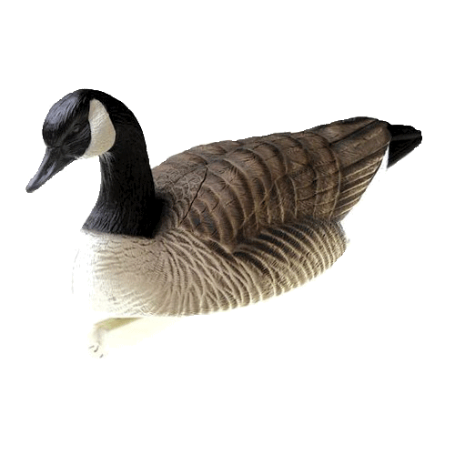 Prairiewind Decoys. Standard Size Honker Floater 6 pack (FA474161) by