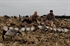 Picture of **FREE SHIPPING** FFD Elite Full Body Honker Feeder 6 pk with  Bag (AV71575) by Greenhead Gear GHG Avery Outdoors