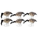 Picture of FFD Honkers - Feeder 6pk w/bag