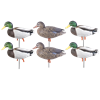 Picture of ***FREE SHIPPING***Pro-Grade Full Body January Mallard Active 6-Pack (AV72226) by Greenhead Gear GHG Avery Outdoors