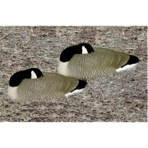 Picture of Bigfoot Canada Goose Shells