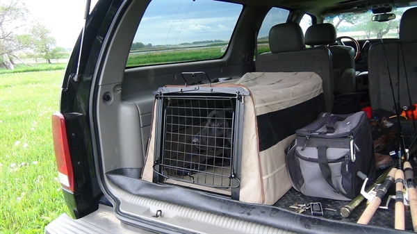 Switchback Dog Kennel Switchback Dog Kennel