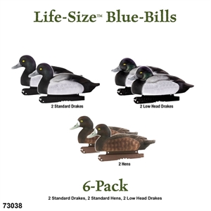 Decoy 6 Pack Avery/GHG GHG Hunter Series Life Size Blue Bills