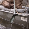 Picture of Marsh Foot Attachment (AV90004) by Avery Outdoors