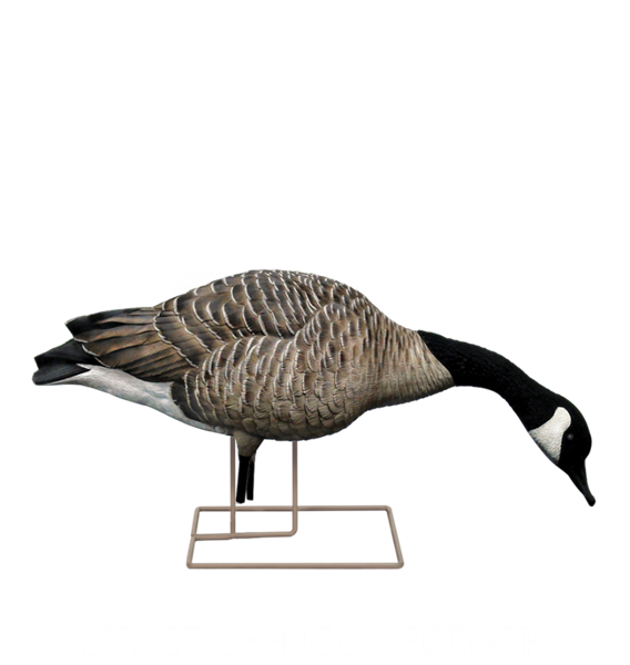 Prairiewind Decoys. AXF Flocked Honker Feeder Goose Decoys by Avian X