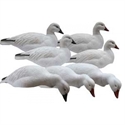 Picture for category SNOW GOOSE SHELL DECOYS  