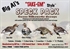 Picture of Speck Silhouette Decoys by Big Al's Decoys