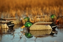 Picture for category Floating Mallard Duck Decoys