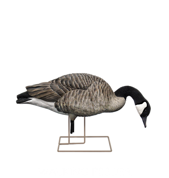 Prairiewind Decoys. *FREE SHIPPING* AXP Fusion Honker 6 Pack Painted Canada Goose Decoys by