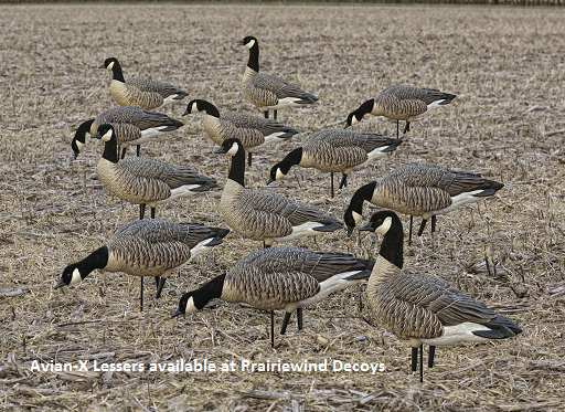goose prairie single gay men Craigslist provides local classifieds and forums for jobs, housing, for sale, services, local community, and events. goose prairie single gay men Craigslist provides local classifieds and forums for jobs, housing, for sale, services, local community, and events.