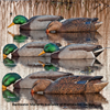 Picture of **SALE** Top Flight Back Water Mallard Duck Decoys 6pk  by Avian X Decoys
