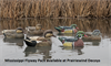 Picture of **SALE** Top Flight Mississippi Flyway Pack Duck Decoys 6pk (Z8091) by Avian X Decoys Zink Calls
