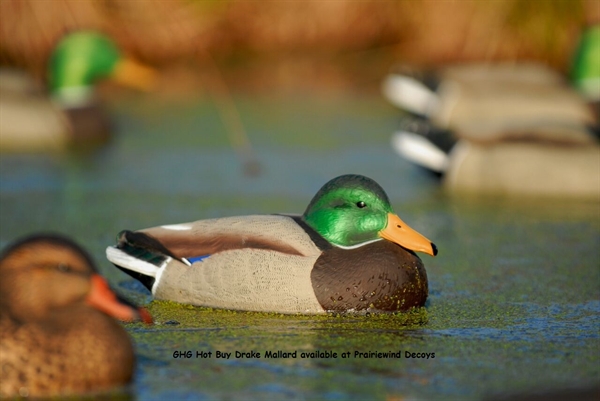 Prairiewind Decoys. **FREE SHIPPING** "Hot Buy" Mallard Duck Decoys