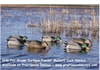 Picture of **FREE SHIPPING** Pro-Grade Surface Feeder Mallard Duck Decoys 6 Pack by Greenhead Gear GHG Avery Outdoors
