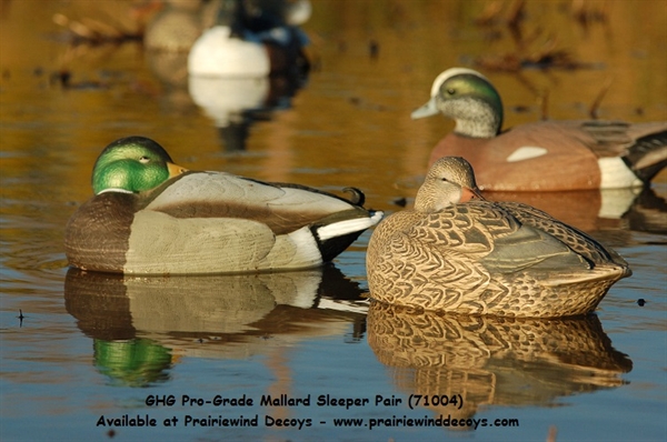Avery Greenhead Gear Pro-Grade Duck Decoy,Mallards/Sleeper Pack,Pair 
