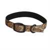 Picture of Standard Collars by Avery Sporting Dogs