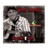 Picture of  Walt Gabbard's CD - "Hillbilly Man"