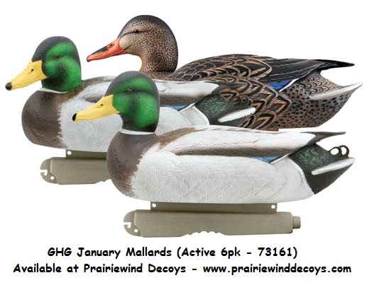 AVERY OUTDOORS GREENHEAD GEAR GHG PRO-GRADE ACTIVE MALLARD 6 PACK DECOYS 