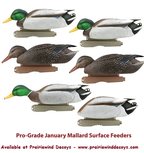 Prairiewind Decoys Free Shipping Pro Grade January Mallard Surface