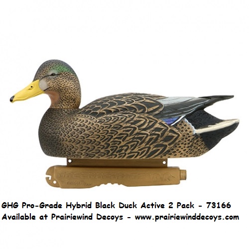 Prairiewind Decoys. ProGrade Hybrid Black Duck Decoys Active 2Pack
