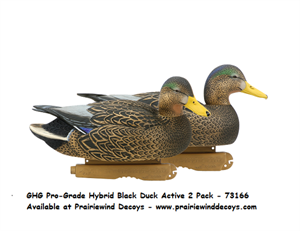 GHG duck hunting decoys Per 2 Black Swan Decoy - 