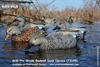 Picture of **FREE SHIPPING** Pro-Grade Gadwall Duck Decoys 6 pack by Greenhead Gear
