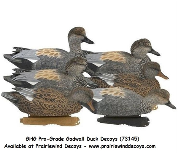 Prairiewind Decoys. **FREE SHIPPING** ProGrade Gadwall Duck Decoys 6